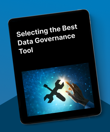 data governance tool