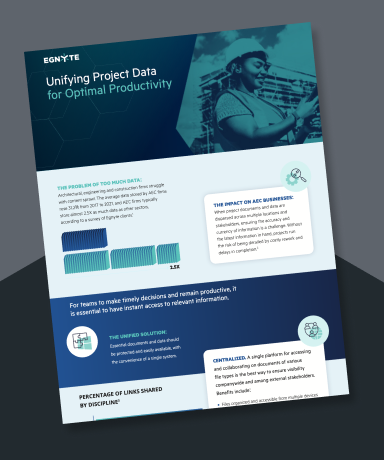 Unifying Project Data for Optimal Productivity