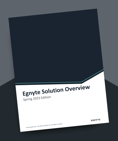 A visual representation of the Egnyte Technical Overview cover sheet